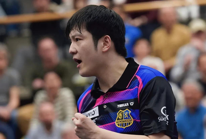 樊振东德国乒坛年薪曝光 稨后收入达388万